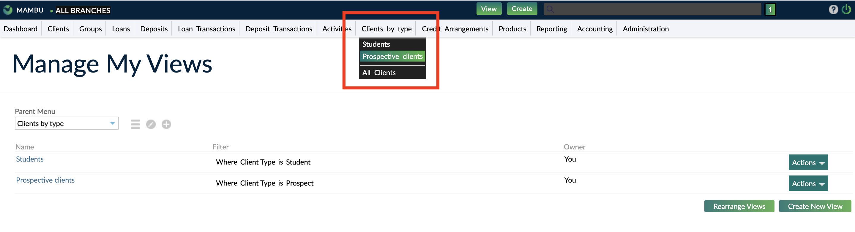 Clients by type menu item with two custom views